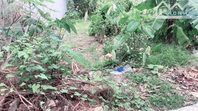 🌟 ĐẤT ĐẸP MẶT ĐƯỜNG NHỰA – THƯỢNG PHÚC, BẮC HỒNG 🌟 - 2