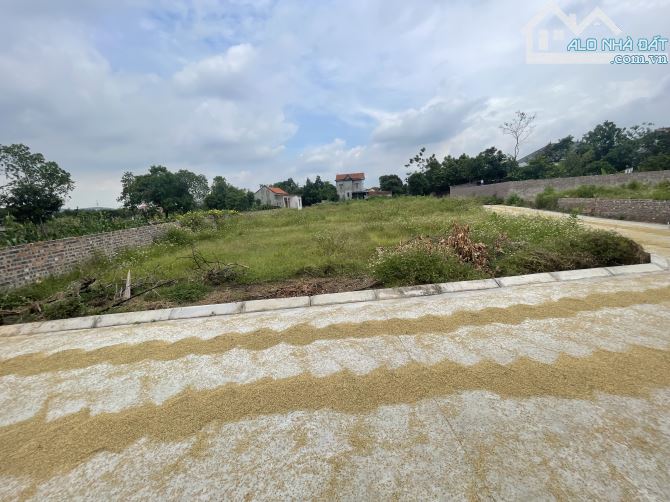 🔥Bán đất đẹp 116m/6.8m Kim Anh (Vụ Bản, Minh Trí, Sóc Sơn) đương thông oto tránh💥2.xtỷ - 2
