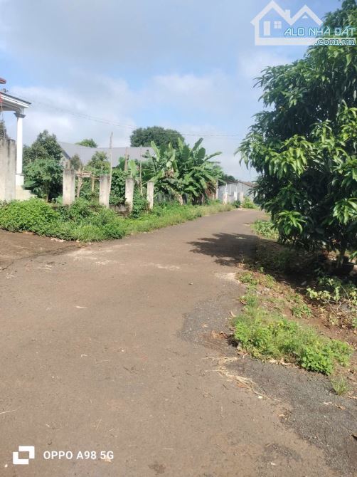 BÁN NHANH GẦN 2 SÀO HÒA XUÂN 920 TRIỆU - 2