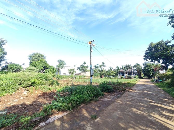 BÁN ĐẤT GIÁ TỐT – ĐƯỜNG D1, PHƯỜNG TÂN AN (XÃ EA TU CŨ) - 2