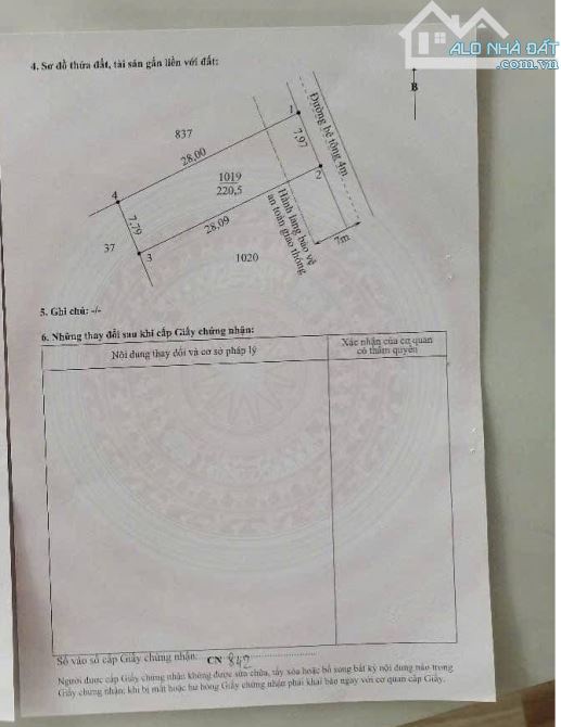 7,79×28m ONT . xã Lạc Tấn , Tân Trụ, long AN - 2