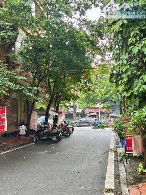 Bán lô đất 55m2, mặt tiền 4m, Đường Nguyễn Cảnh Dị, Hoàng Mai, 17,5 tỷ - 2