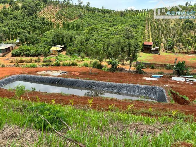 Bán đất 9000m2 tại Quốc lộ 14, Xã Thuận Hạnh, Dăk Song, Đắk Nông, chỉ với 1,5 tỷ - 22
