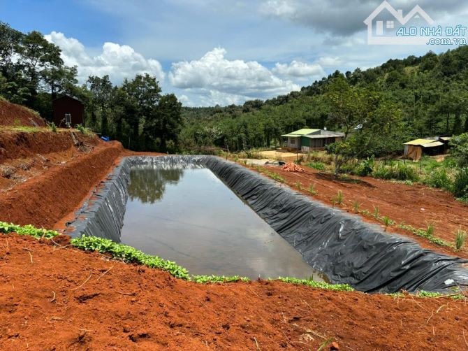 Bán đất 9000m2 tại Quốc lộ 14, Xã Thuận Hạnh, Dăk Song, Đắk Nông, chỉ với 1,5 tỷ - 25
