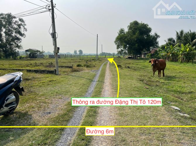 Bán đất xã TLH Củ Chi 5x27 thổ cư. Giá bán 1 tỷ 100 triệu có bớt. - 3