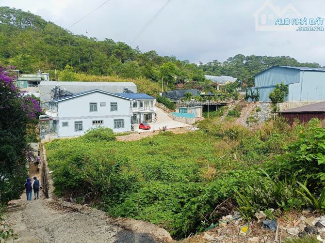 Bán Đất Mặt Tiền Đường Ankoret, Phường 7, Đà Lạt – Vị Trí Đẹp, Tiềm Năng Sinh Lời Cao - 3