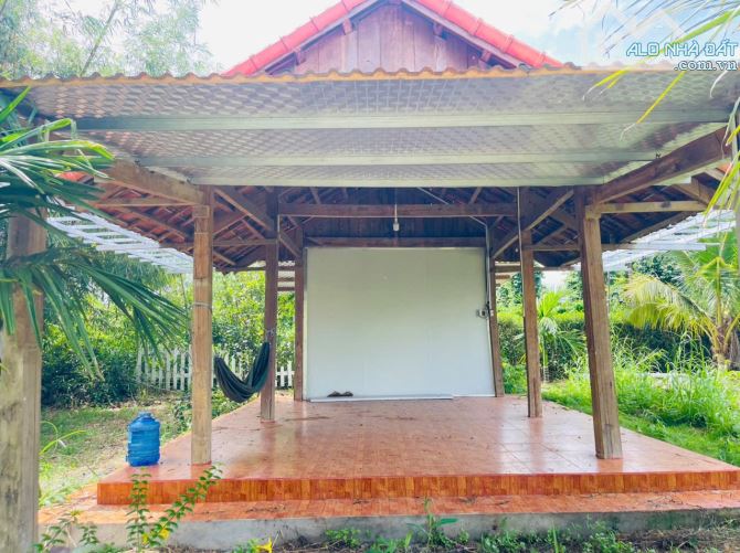 NHÀ VƯỜN VIEW SUỐI NGOẠI Ô BUÔN MA THUỘT THÔN 6 XÃ HOÀ KHÁNH - Loctran - 3