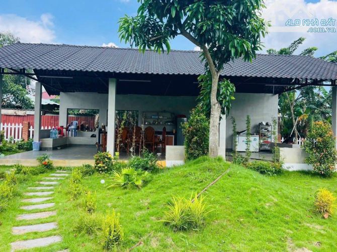NHÀ VƯỜN XÃ XUYÊN MỘC - TP HCM GẦN BIỂN HỒ TRÀM -/Diện tích 22x114 -3200m sẵn 150m tc - 3