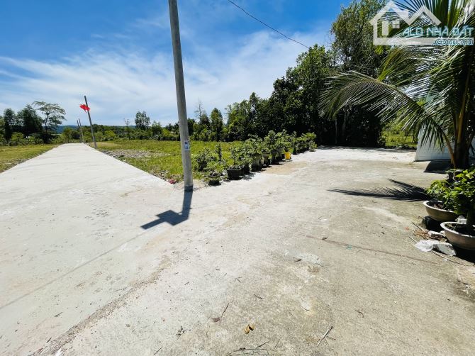 BÁN 457M2 NGANG 19,4 MÉT DÀI 23 MÉT GIÁ 2 TỶ 500 TRIỆU - 3