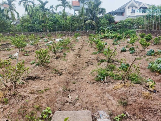 Đất 420M - 9M -  8,4 TỶ, GẦN PHỐ - GẦN HỒ ĐIỀU HÒA PHONG THỦY - GIÁ  RẺ NHẤT KHU VỰC - 3