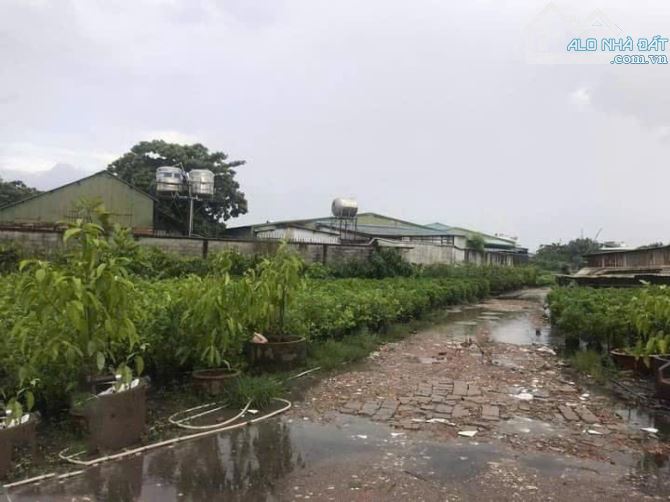 ⭐️Đất đầu tư GD View sông – Phan Huy Ích Gò Vấp - 3