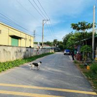 Cần bán lô đất kế khu công nghiệp Cây Trường 2 Bàu Bàng Bình Dương, DT 271.1m2 giá 969tr - 3