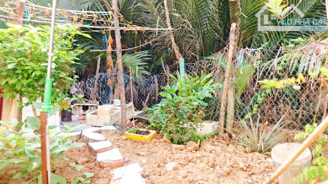 Bán 670m2 đất làm nhà vườn - có ao - gò cao ráo gần Quận 7 - 3
