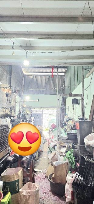 80m2 đường 8m nhà Phan Anh sát Tô Hiệu,Tân phú - 3