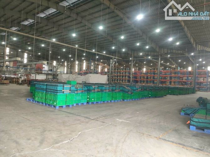 XT462 Cho thuê kho vân hành Logistic và Kho Ngoại Quan tổng diện tích gần 2Ha - 3