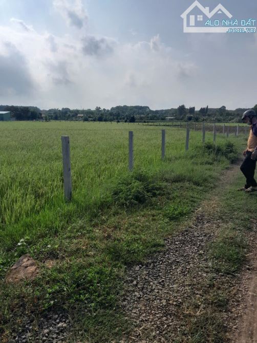 ___Cần ra gấp 3.689m2 đất (Gần  3.7 sào ) thuộc P. Tam Long TPHCM:(Long Phước Bà Rịa Vũng - 3