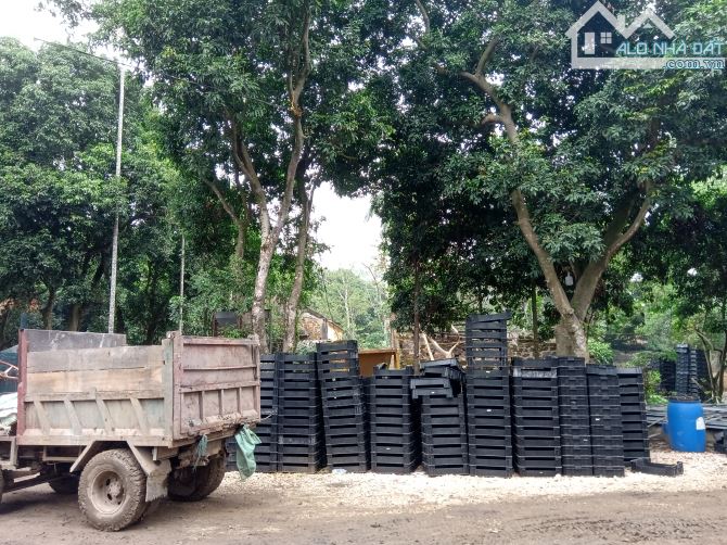 Cho thuê hơn 2ha đất trang trại, kho xưởng gần hồ Kỳ Viên xã Trần Phú, Chương Mỹ, Hà Nội. - 3