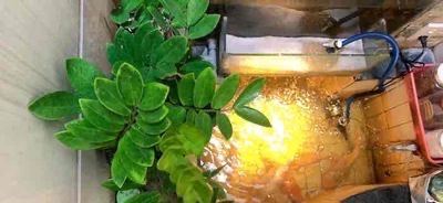 MÃ LÒ, 5 x 12, 4TẦNG ĐÚC, OTO ĐỖ CỬA, SÁT MT, BÌNH TÂN GIÁP TÂN PHÚ, GẦN AEON, CHỈ 5.X TỶ - 3