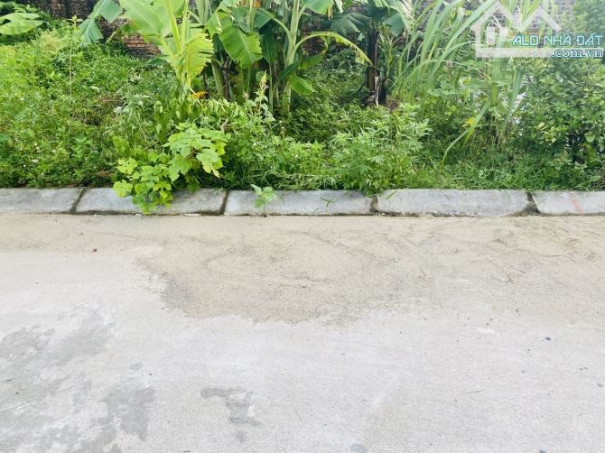 Hơn 1 tỷ-54m2-Quang Tiến-Sóc Sơn-đường thông-xe tải vào tận đất - 3