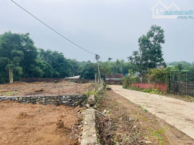 Bán đất làm nhà xưởng , kho bãi - 3