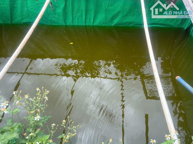 🌳 4,3sào đất hẻm chính Vũ Lăng ngay khu dân cư - 4