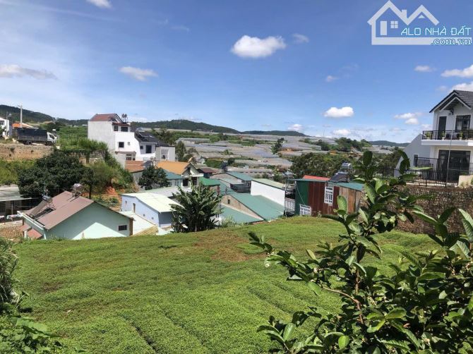 ✨🏡✨ CẦN BÁN NHÀ ĐƯỜNG KIM ĐỒNG – PHƯỜNG CAM LY, ĐÀ LẠT - 6.5 TỶ - 4