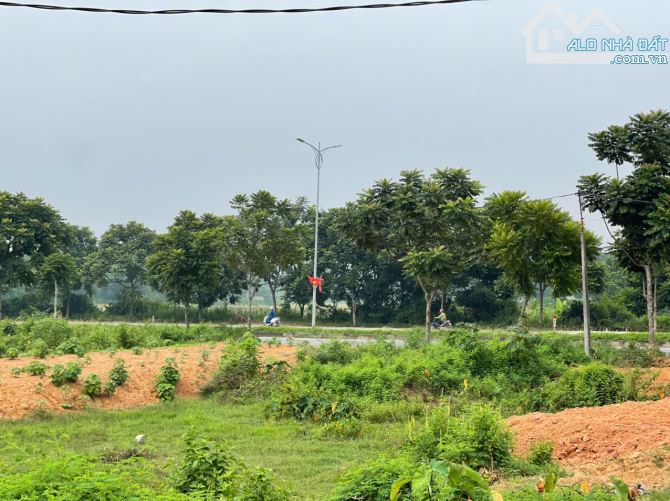 🔥 Bán đất khu TĐC Tam Dương Bắc – Phú Thọ (trước thuộc xã Hoàng Hoa, Tam Dương)  • Diện t - 4