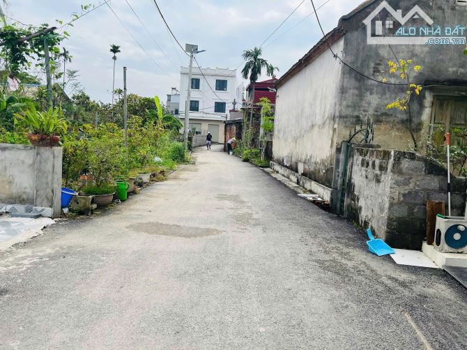 Bán đất tổ 7  thị trấn An Dương 41 m giá 1,1x tỷ - 4