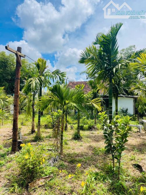NHÀ VƯỜN VIEW SUỐI NGOẠI Ô BUÔN MA THUỘT THÔN 6 XÃ HOÀ KHÁNH - Loctran - 4