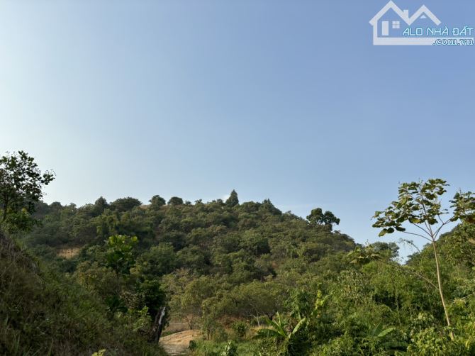 Bán đất tại Đường Tỉnh lộ 721, 900 triệu, 60000 m2, pháp lý đầy đủ - 4