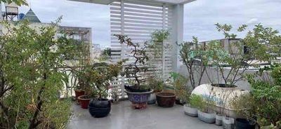 MÃ LÒ, 5 x 12, 4TẦNG ĐÚC, OTO ĐỖ CỬA, SÁT MT, BÌNH TÂN GIÁP TÂN PHÚ, GẦN AEON, CHỈ 5.X TỶ - 4