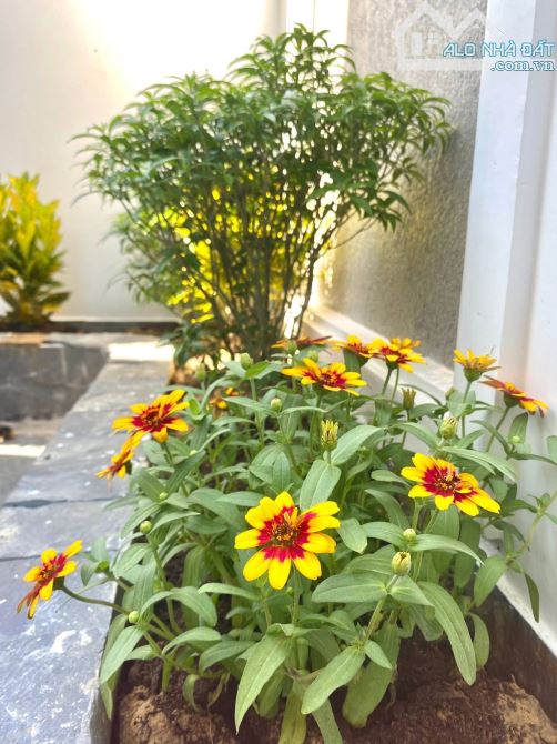 Bán Nhà 3 Tầng Tân Cổ Điển Kiệt Ô Tô Tránh Nhau Phạm Văn Đồng Full Nội Thất - 4