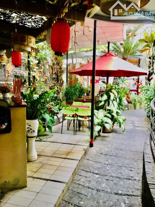 🏡 GIẢM SÂU _ BÁN GẤP _ TẶNG QUÁN CÀ PHÊ _ MẶT TIỀN ĐƯỜNG NGUYỄN DU_ VỊ TRÍ CỐT LÕI. - 5