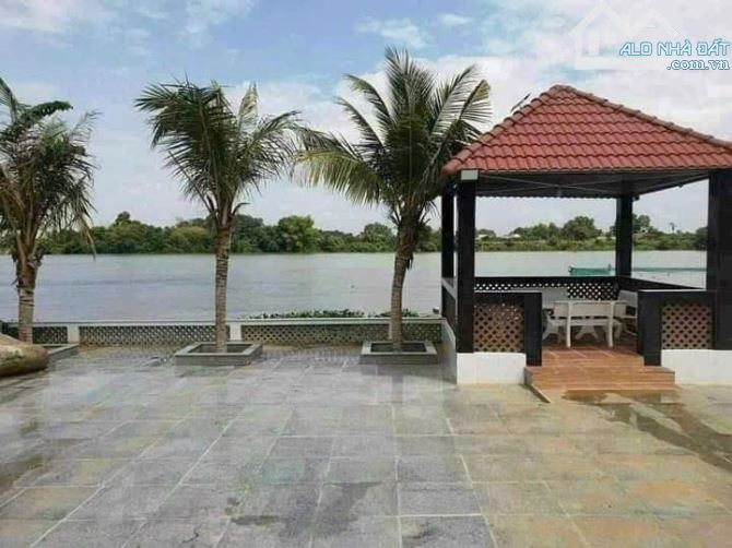 Bán biệt thự vila view sông Tân Triều - 5