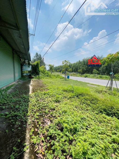 XT522 🆘 cho thuê kho xưởng mặt tiền đường DT 768 xã tân an vĩnh Cửu đồng Nai - 5