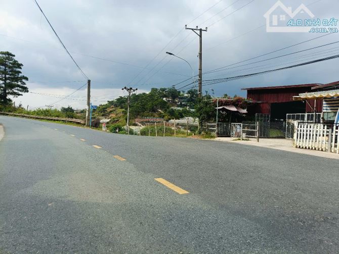 Bán Đất Mặt Tiền Đường Ankoret, Phường 7, Đà Lạt – Vị Trí Đẹp, Tiềm Năng Sinh Lời Cao - 5