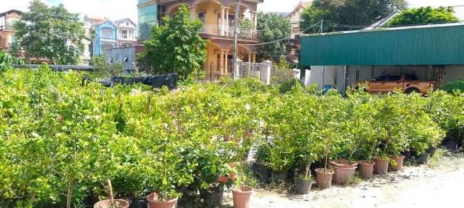 76M, 4.9 Tỷ - Lô Góc, Vỉa hè, Ô tô tránh  - Siêu rẻ đẹp – Sát Ecopark, Sát TT Văn Giang - 5
