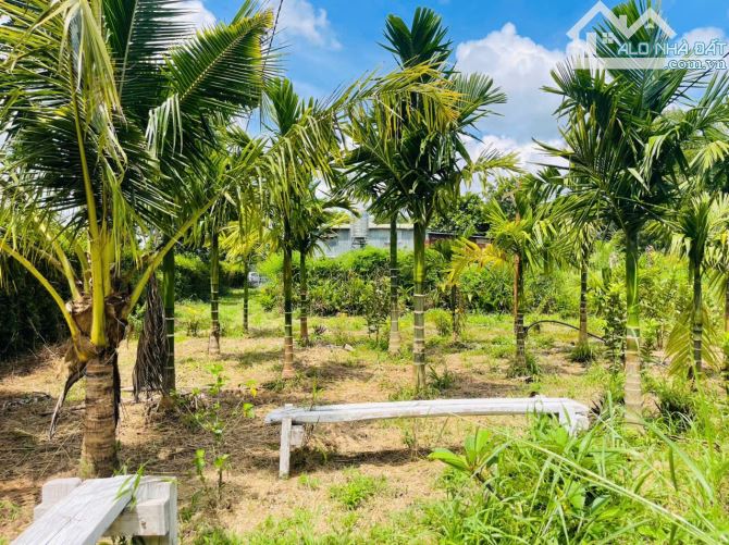 NHÀ VƯỜN VIEW SUỐI NGOẠI Ô BUÔN MA THUỘT THÔN 6 XÃ HOÀ KHÁNH - Loctran - 5