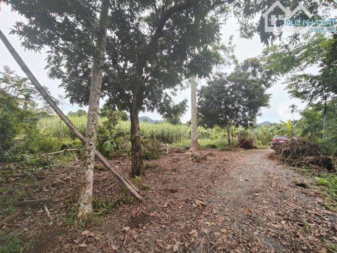 BÁN 900M FULL ĐẤT Ở  VIEW CÁNH ĐỒNG  LÚA CHÍN THOÁNG VĨNH VIỄN  CAO PHONG HB - 5