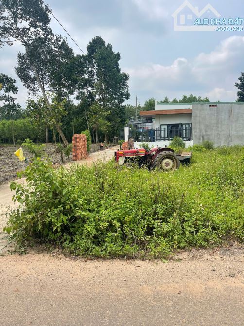 🌟💰 Đầu tư sinh lời – Đất thổ cư 125,1m² An Viễn, Đồng Nai – Giá chỉ 1,05 tỷ - 5