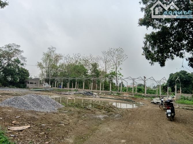 Cho thuê hơn 2ha đất trang trại, kho xưởng gần hồ Kỳ Viên xã Trần Phú, Chương Mỹ, Hà Nội. - 5