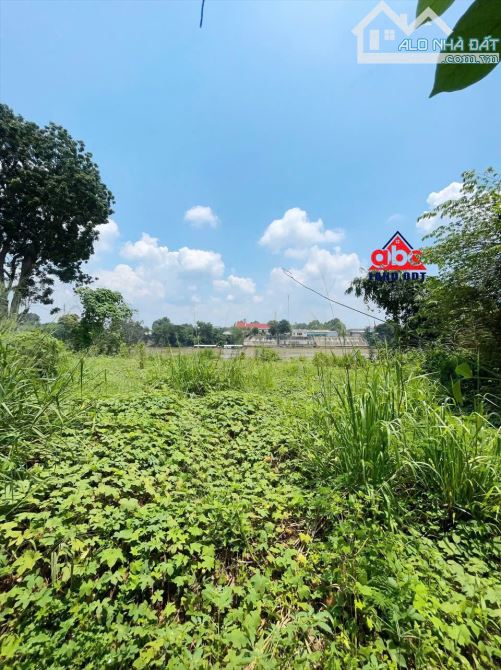 XT522 🆘 cho thuê kho xưởng mặt tiền đường DT 768 xã tân an vĩnh Cửu đồng Nai   ✅ Diện tíc - 6