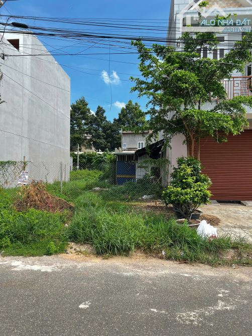 Bán đất mặt tiền nhựa Nguyễn Văn Linh gần Đại Lộ Lê Duẩn - 6