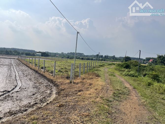 ___Cần ra gấp 3.689m2 đất (Gần  3.7 sào ) thuộc P. Tam Long TPHCM:(Long Phước Bà Rịa Vũng - 6