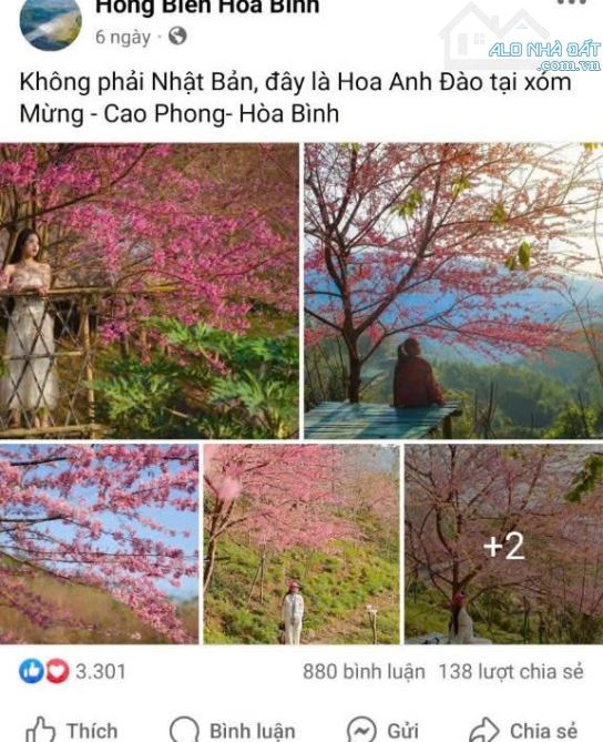 BÁN 900M FULL ĐẤT Ở  VIEW CÁNH ĐỒNG  LÚA CHÍN THOÁNG VĨNH VIỄN  CAO PHONG HB - 7