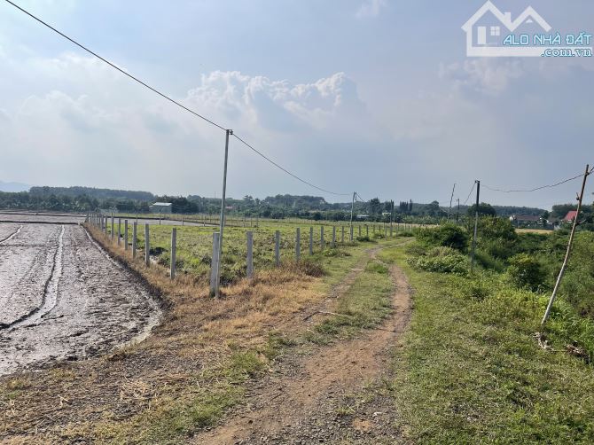 ___Cần ra gấp 3.689m2 đất (Gần  3.7 sào ) thuộc P. Tam Long TPHCM:(Long Phước Bà Rịa Vũng - 7