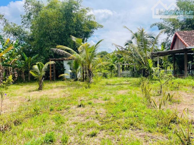 NHÀ VƯỜN VIEW SUỐI NGOẠI Ô BUÔN MA THUỘT THÔN 6 XÃ HOÀ KHÁNH - Loctran - 8
