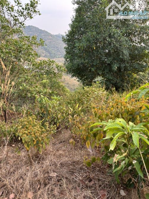 Bán đất tại Đường Tỉnh lộ 721, 900 triệu, 60000 m2, pháp lý đầy đủ - 8