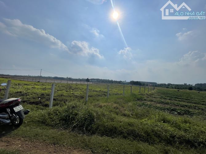 ___Cần ra gấp 3.689m2 đất (Gần  3.7 sào ) thuộc P. Tam Long TPHCM:(Long Phước Bà Rịa Vũng - 9
