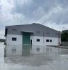 Cho Thuê 3.500m2 - 6.500m2 - 11.000m2 Nhà Xưởng Tại Bến Cát Bình Dương PCCC Tự Động
